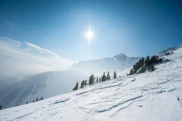 Hotel Les Alpes